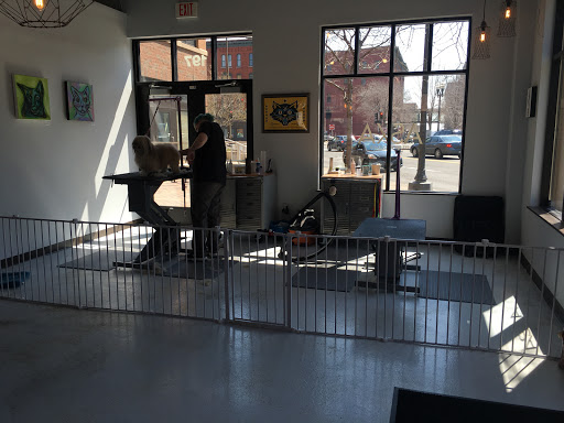 Pet Groomer «ÅSKA Pet Spa & Boutique», reviews and photos, 197 E 7th St, St Paul, MN 55101, USA