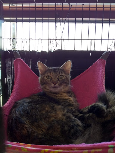 Pet Supply Store «Pet Valu», reviews and photos, 416 Suncrest Towne Centre Drive, Morgantown, WV 26505, USA