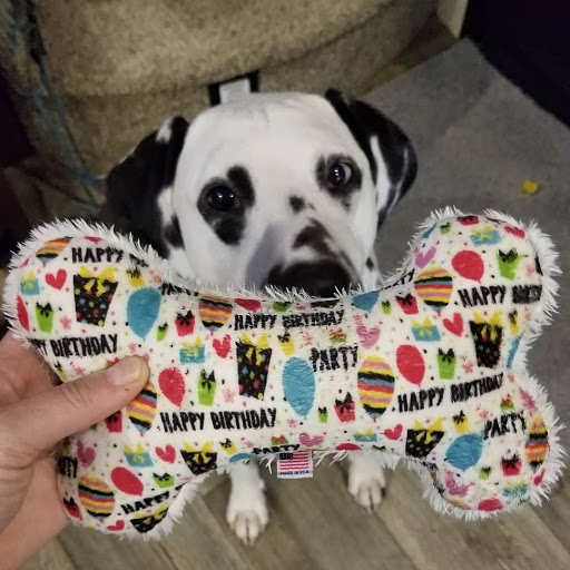 Gift Shop «Nautical Dog LLC», reviews and photos, 5104 Main St, Williamsburg, VA 23188, USA