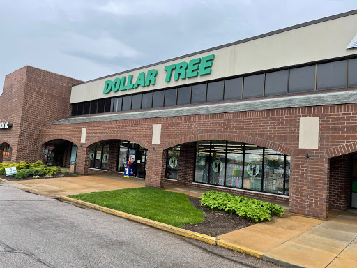 Dollar Store «Dollar Tree», reviews and photos, 1342 Clarkson Clayton Center, Ellisville, MO 63011, USA