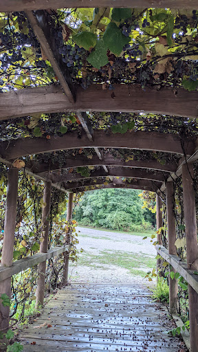 Winery «DelMonaco Winery & Vineyards», reviews and photos, 600 Lance Dr, Baxter, TN 38544, USA