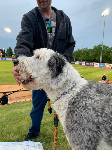 Stadium «Schaumburg Boomers Stadium», reviews and photos, 1999 Springinsguth Rd, Schaumburg, IL 60193, USA