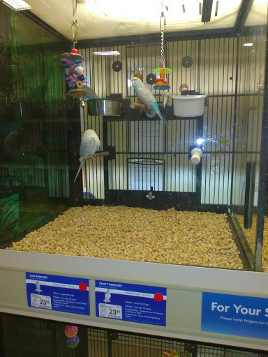 Pet Supply Store «PetSmart», reviews and photos, 3351 Jefferson Davis Hwy, Alexandria, VA 22305, USA
