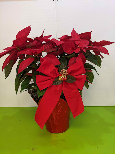 Florist «House of Flowers», reviews and photos, 650 Wood Ave, Linden, NJ 07036, USA