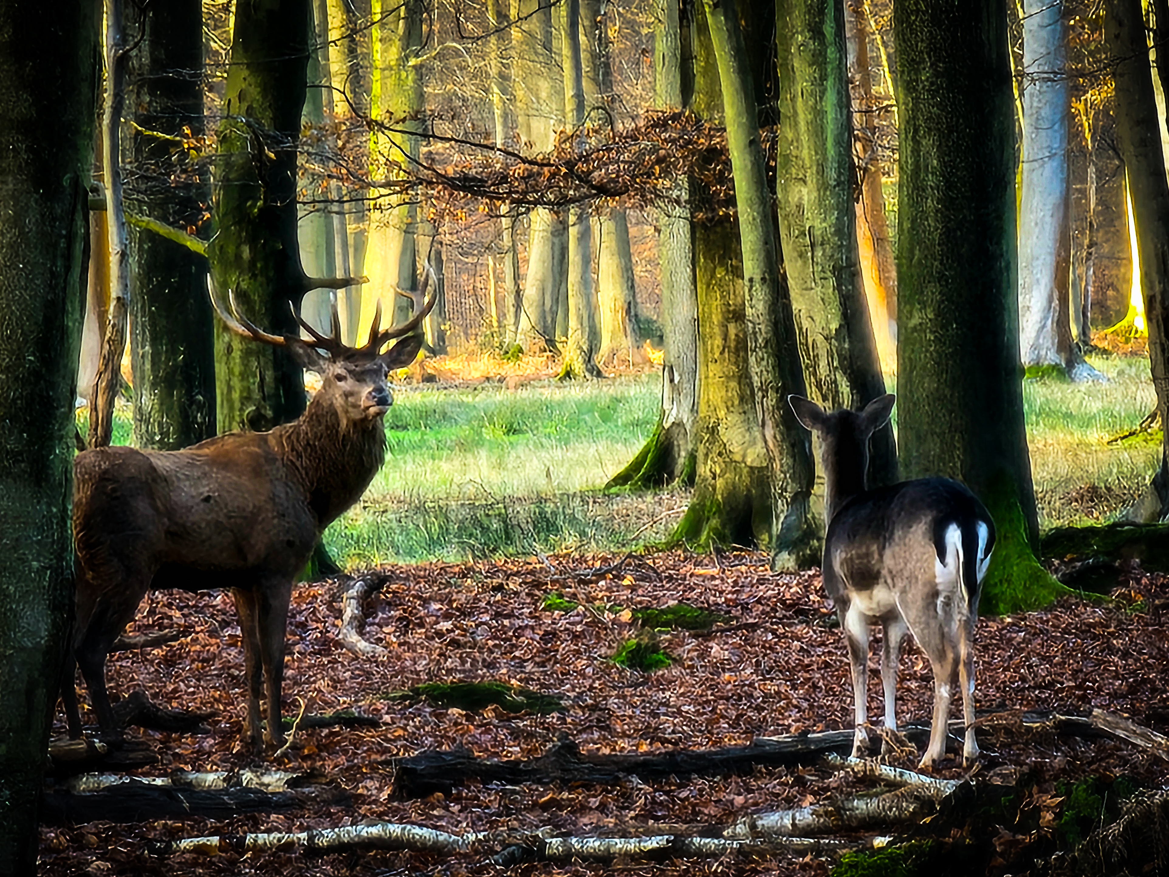 Photo n° 12 de l'avis de Nono.h fait le 09/12/2023 à 09:20