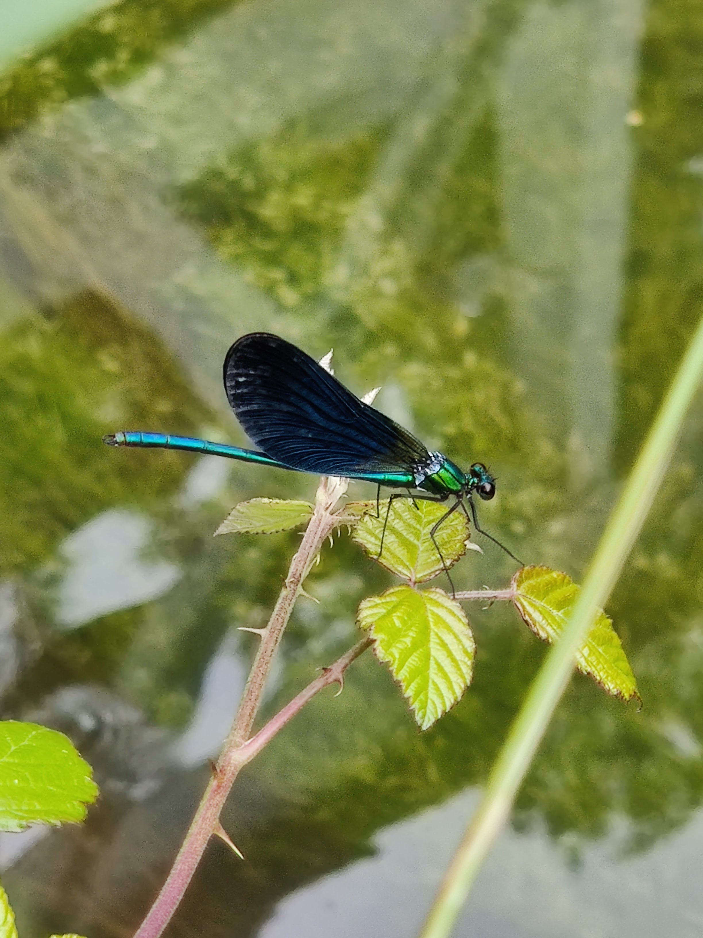 Photo n° 2 de l'avis de Cédric.o fait le 30/06/2019 à 16:21