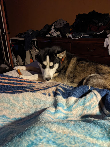 Pet Supply Store «Petco Animal Supplies», reviews and photos, 1619 SE Ensign Ln, Warrenton, OR 97146, USA