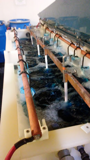 Auto Body Shop «McDonald Collision Center», reviews and photos, 8101 Southpark Way, Littleton, CO 80120, USA