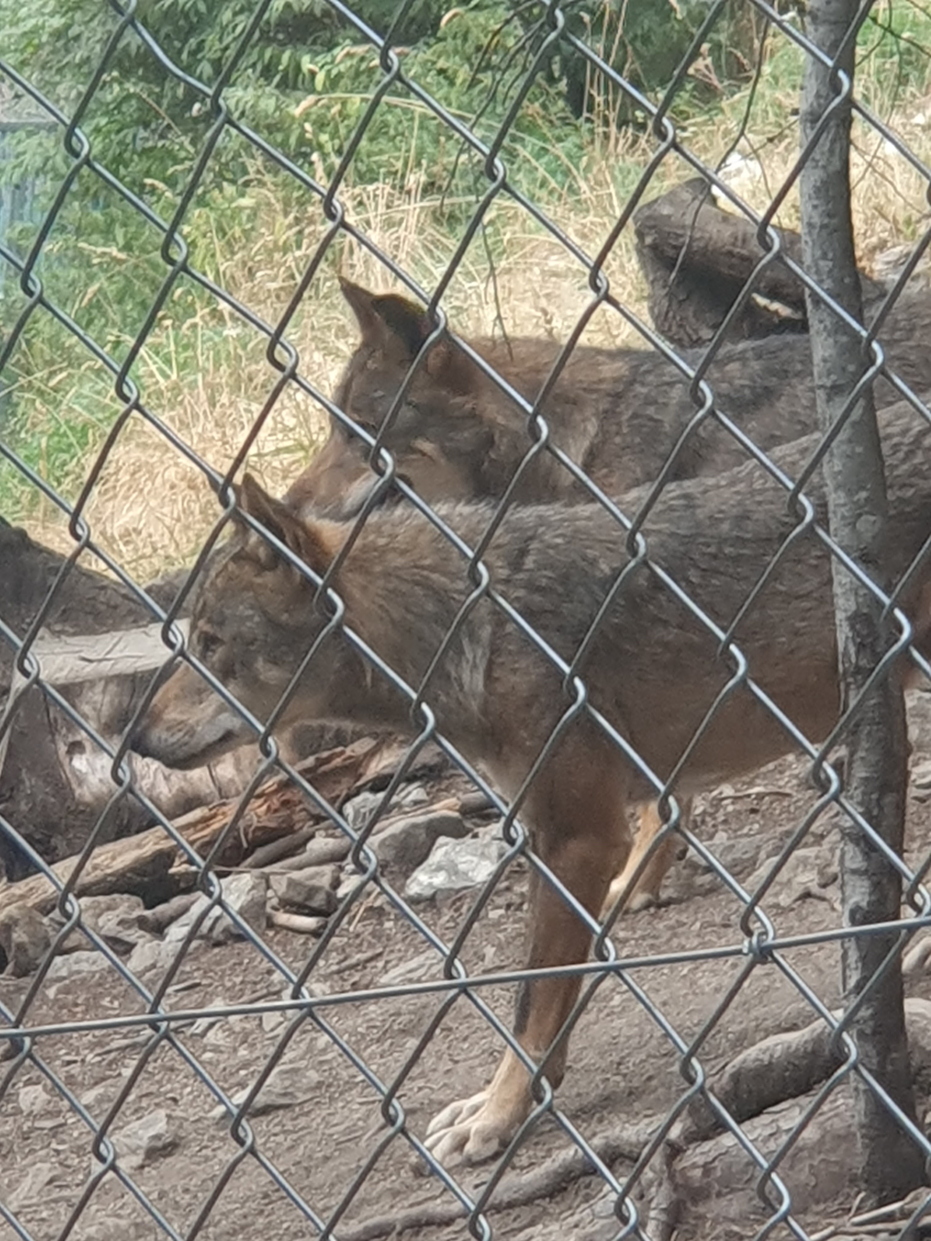 Photo n° 3 de l'avis de Jean.l fait le 24/08/2023 à 21:03