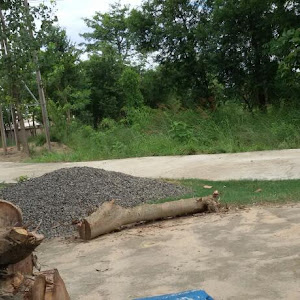 Kanha Kids/ Sanskriti Vidhya Mandir photo