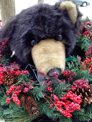 Toy Store «Capitol Kids, Ltd.», reviews and photos, 8 S Carroll St, Madison, WI 53703, USA