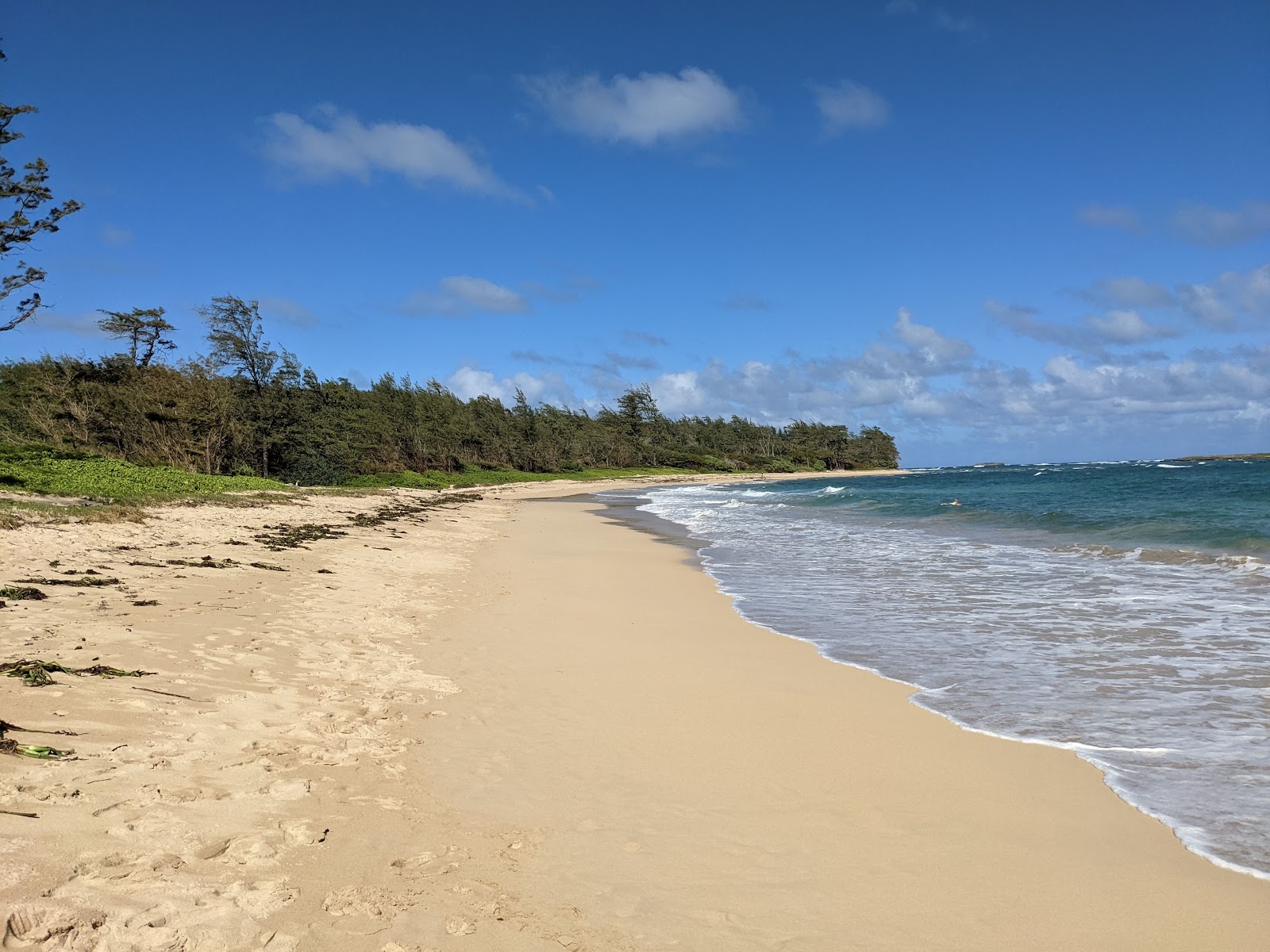 Hukilau Beach Park'in fotoğrafı düz ve uzun ile birlikte