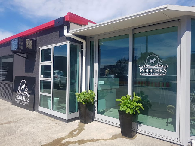 Reviews of Pooches Daycare & Grooming in Havelock North - Dog trainer