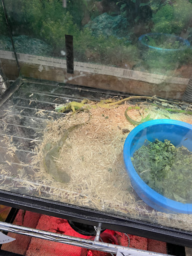 Pet Store «Eden Pets Supplies & Aquarium», reviews and photos, 3771 Bladensburg Rd, Brentwood, MD 20722, USA