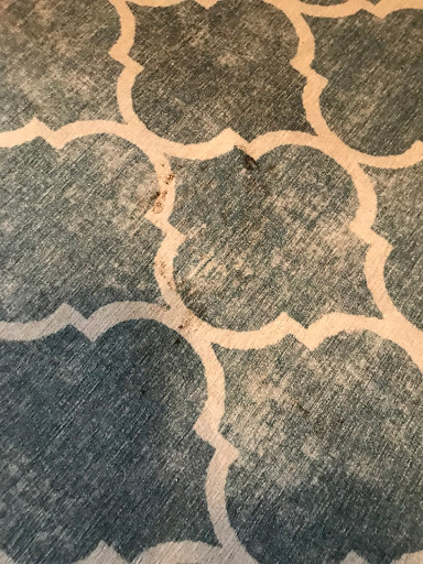 Plumber «A-1 Sewer & Drain Plumbing & Heating», reviews and photos, 516 S Military Hwy, Virginia Beach, VA 23464, USA