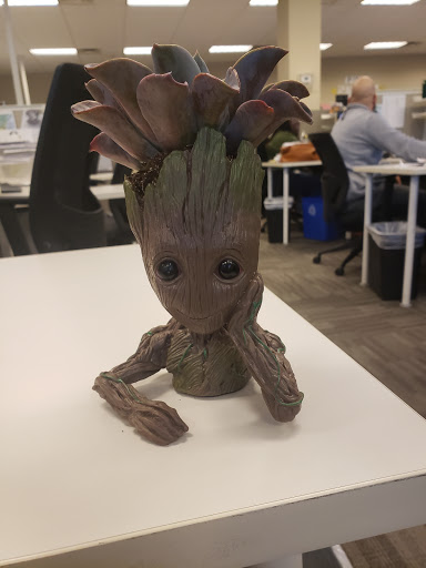 Florist «Phoenix Flower Shops», reviews and photos, 1907 W Union Hills Dr, Phoenix, AZ 85027, USA