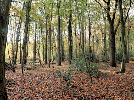 Landgoed Mildenburg