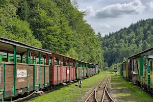 Bieszczady Forest Railway image