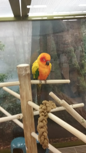 Pet Supply Store «Petco Animal Supplies», reviews and photos, 1753 St Lucie W Blvd, Port St Lucie, FL 34986, USA