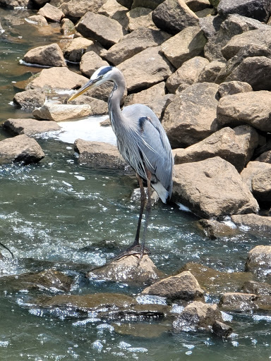 Park «Little Mulberry Park», reviews and photos, 3855 Hog Mountain Rd, Hoschton, GA 30548, USA