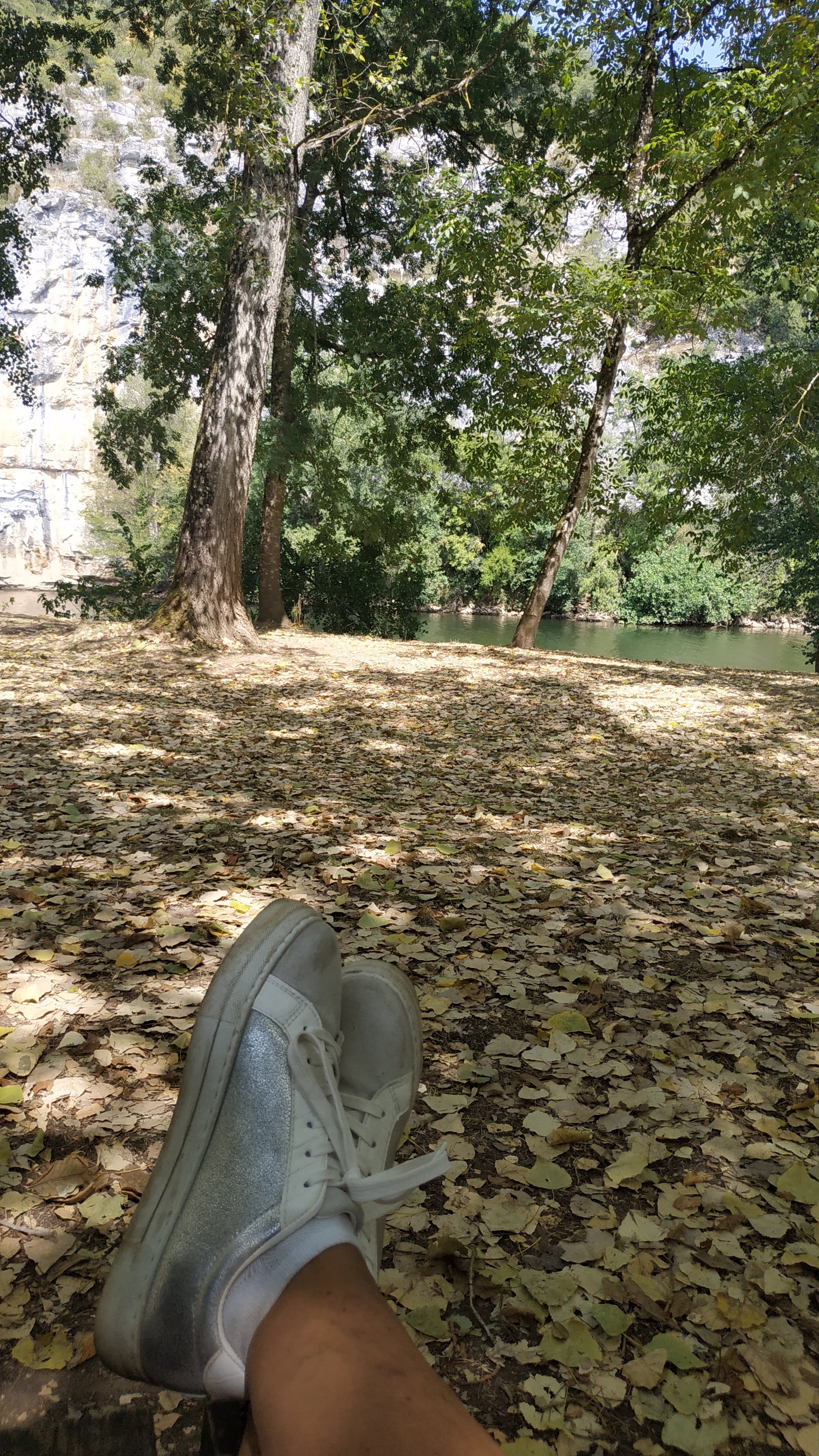 Photo n° 2 de l'avis de chryst. fait le 09/08/2022 à 14:29