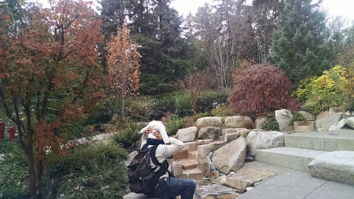 Art Museum «Bainbridge Island Museum of Art», reviews and photos, 550 Winslow Way E, Bainbridge Island, WA 98110, USA