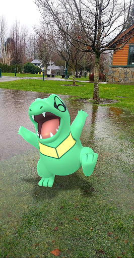 Community Center «Si View Community Center», reviews and photos, 400 SE Orchard Dr, North Bend, WA 98045, USA