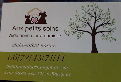 aux petits soins garde d'animaux à domicile à Flavignac