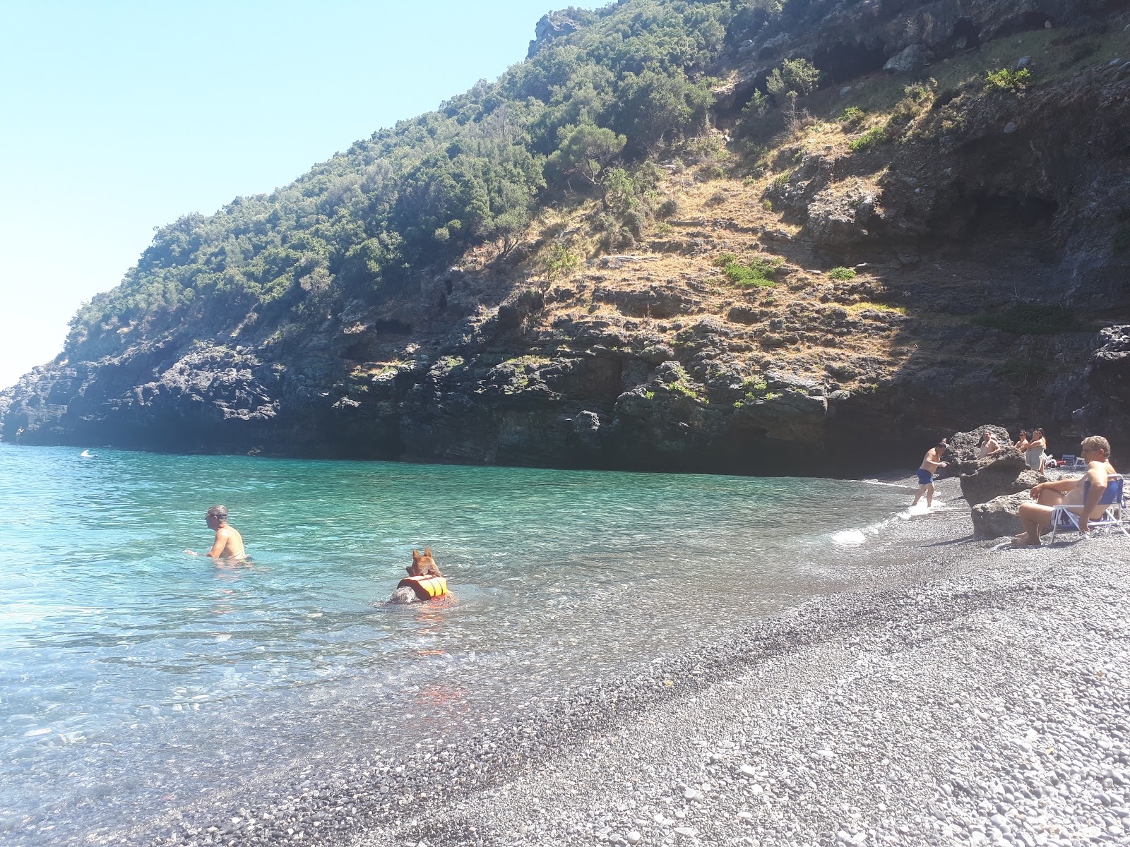 Foto de Mills Beach con muy limpio nivel de limpieza