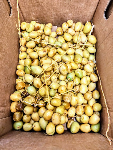 Grocery Store «Valentino Food Market», reviews and photos, 66-64 Fresh Pond Rd, Ridgewood, NY 11385, USA