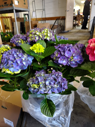 Florist «Sieck-Wright Floral Products», reviews and photos, 231 Monmouth St, Hightstown, NJ 08520, USA