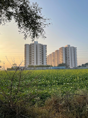 Google Maps image 12