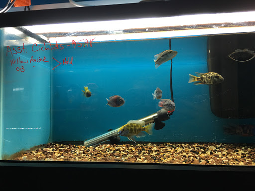 Pet Store «AquaVarium Pets And Supplies», reviews and photos, 95 W Bridge St, Catskill, NY 12414, USA