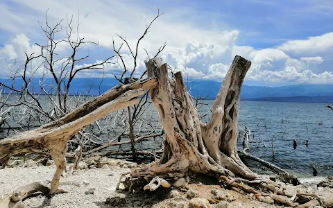 Lago Enriquillo National Park image