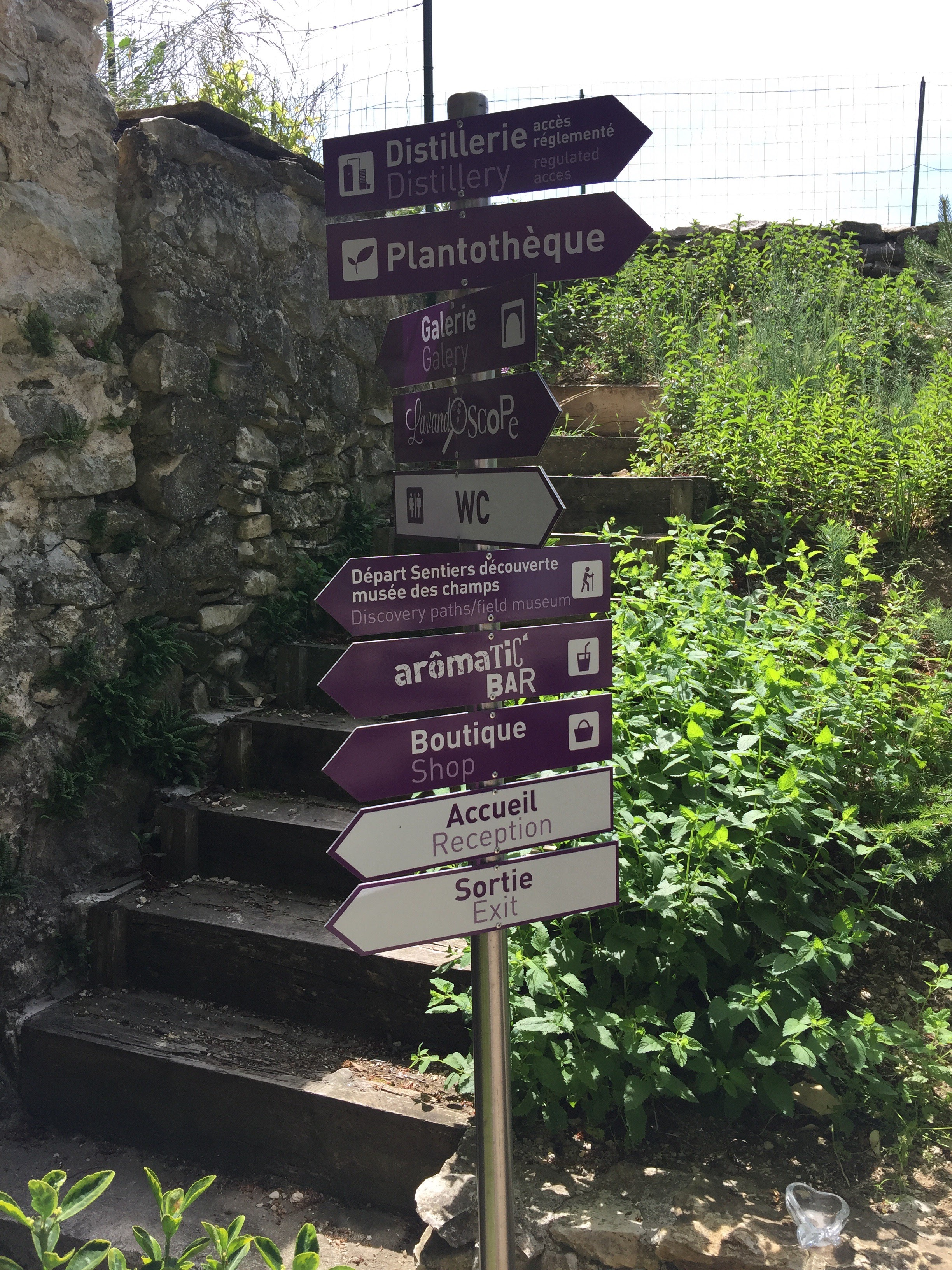 Photo n° 3 de l'avis de Bernhard. fait le 19/06/2019 à 13:41
