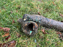 Cut-Rate Septic Tank Service