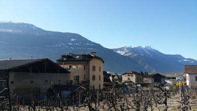 Photos of Swhisky - Maison les vignettes