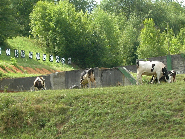 Altes Schützenhaus - Sportstätte