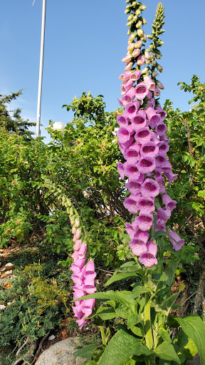 Amusement Park «Adventureland Family Fun Park», reviews and photos, 112 Point Judith Rd, Narragansett, RI 02882, USA
