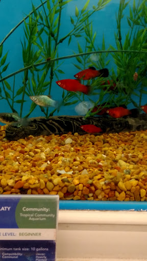 Pet Supply Store «PetSmart», reviews and photos, 21 Trader Ln, Williston, VT 05495, USA