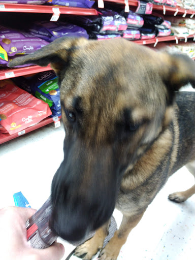 Pet Supply Store «Petco Animal Supplies», reviews and photos, 25 Hazard Ave, Enfield, CT 06082, USA