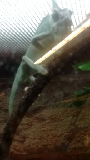 Pet Supply Store «Petco Animal Supplies», reviews and photos, 187 Stonebrook Pl, Jackson, TN 38305, USA