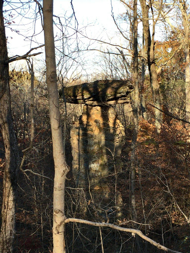 Nature Preserve «Jug Rock Nature Preserve», reviews and photos, Albright Ln, Shoals, IN 47581, USA