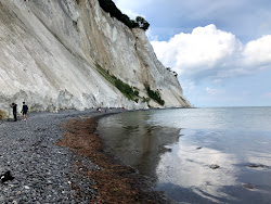Foto von Mons Klint Strand und seine wunderschöne Landschaft
