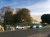 Colegio Público Montealegre en Jerez de la Frontera