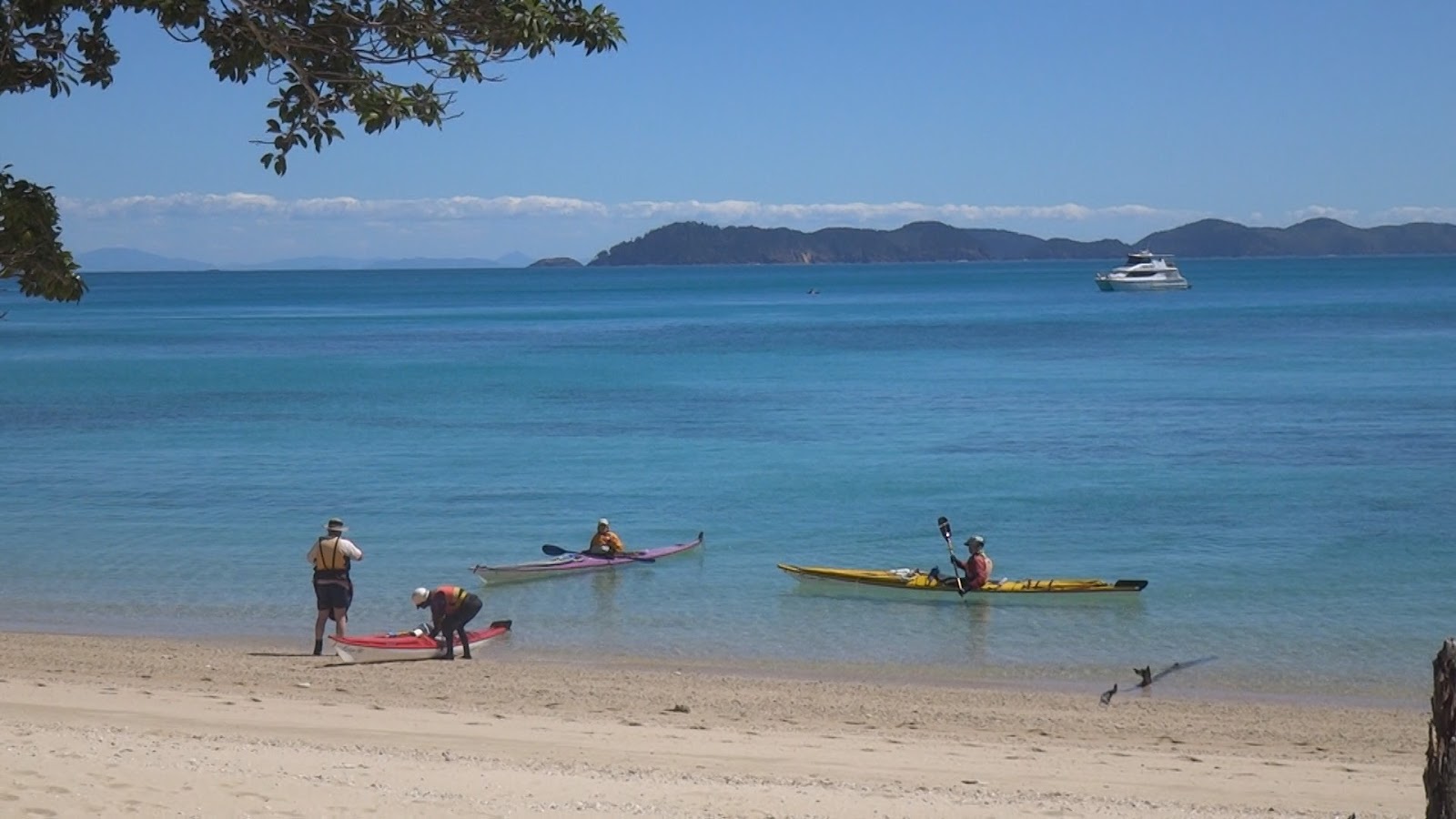 Foto van Dugong Beach met turquoise puur water oppervlakte