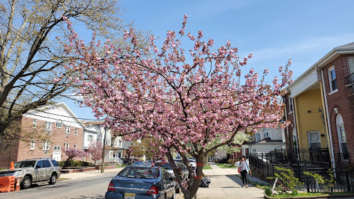 Drug Store «Walgreens», reviews and photos, 699 Broadway, Bayonne, NJ 07002, USA