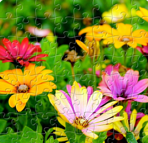 American Restaurant «Cracker Barrel Old Country Store», reviews and photos, 6941 Charlotte Pike, Nashville, TN 37209, USA