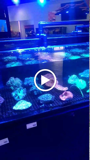 Aquarium «Aquatica», reviews and photos, 800 Clanton Rd H, Charlotte, NC 28117, USA
