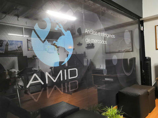 AMID Consultoria